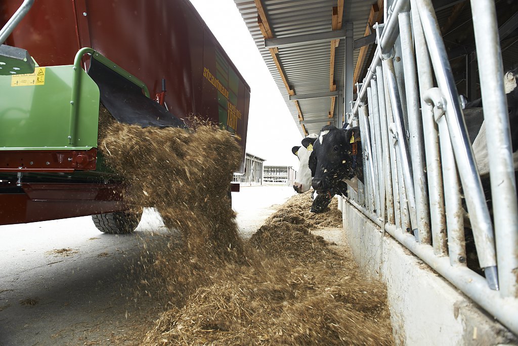 photo of cows being fed by a feed mixer wagon